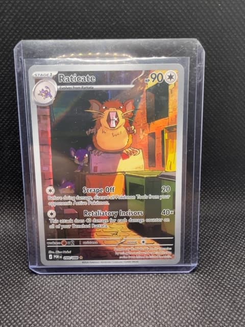 Raticate Full Art 099/088 Pokemon